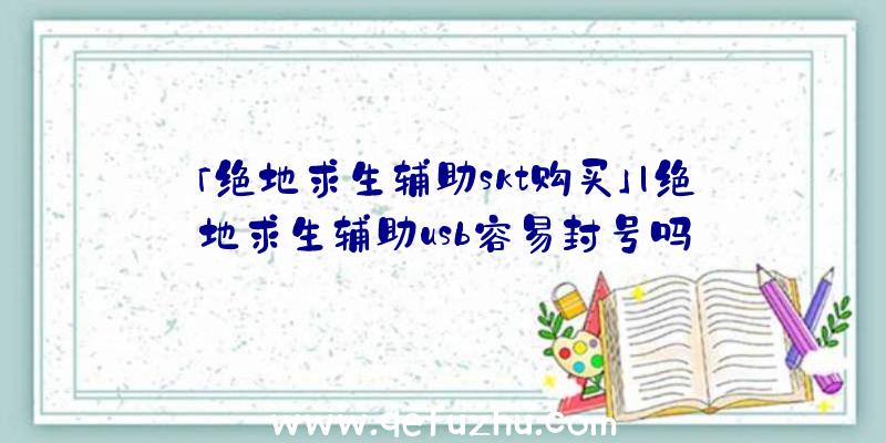 「绝地求生辅助skt购买」|绝地求生辅助usb容易封号吗